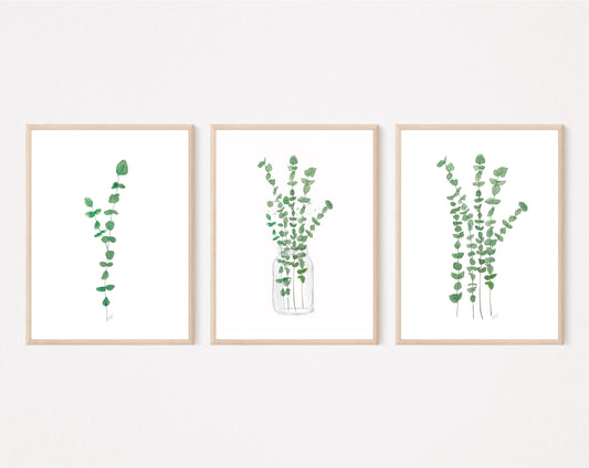 Trio d’illustrations eucalyptus, tiges et pot avec feuillages, impression d’art