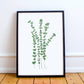 Illustration de feuilles d’eucalyptus à l'aquarelle, minimaliste impression d'art par Stefy Artiste