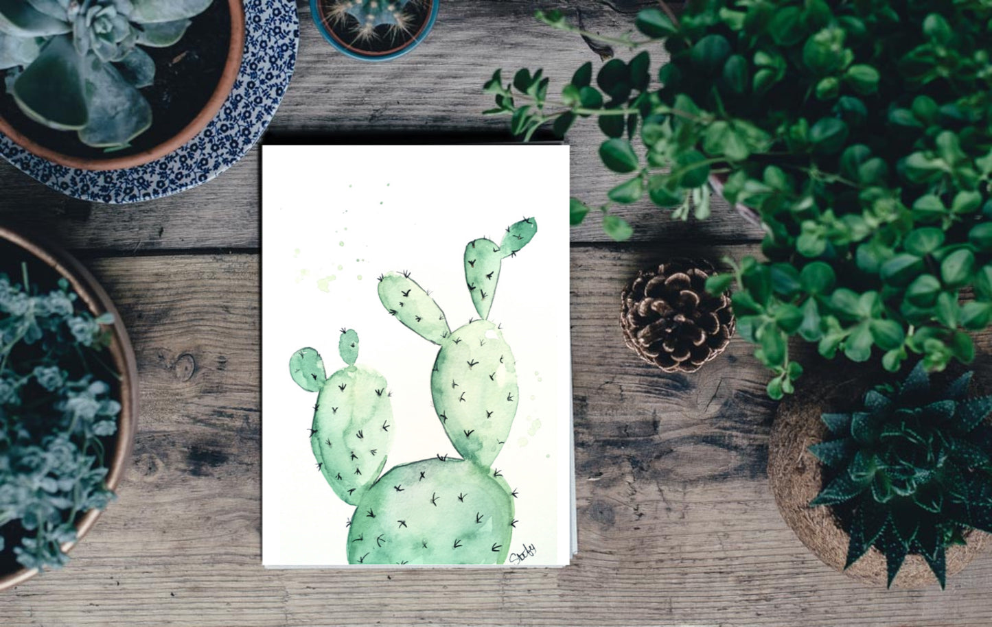 Illustration de cactus à l'aquarelle, solde