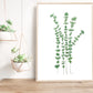 Illustration de feuilles d’eucalyptus à l'aquarelle, minimaliste impression d'art par Stefy Artiste