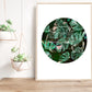 Illustration cercle avec westfalia et feuilles monstera, aquarelle tropical, Stefy Artiste